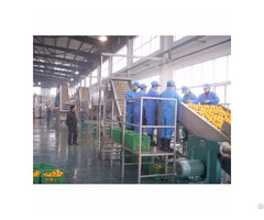 Supply Jump Bll Pineapple Juice Production Line