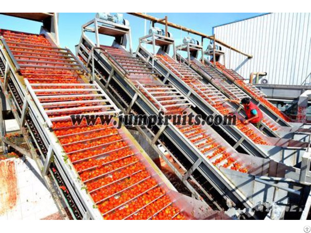 Jump Ketchup Production Line