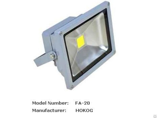 Hokog 20 W Led Flood Light