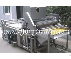 Canned Fruit And Vegetable Production Line