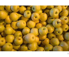 We Sell Delicious Moldavian Apples