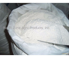 Wheat Flour Premium Grade