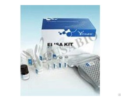 Human Anthrax Toxin Receptor 1 Antxr1 Elisa Kit