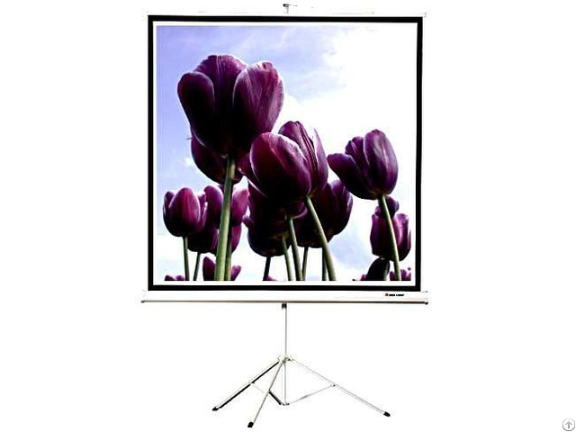 Tripod Screen