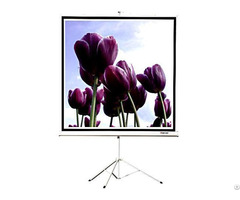 Tripod Screen