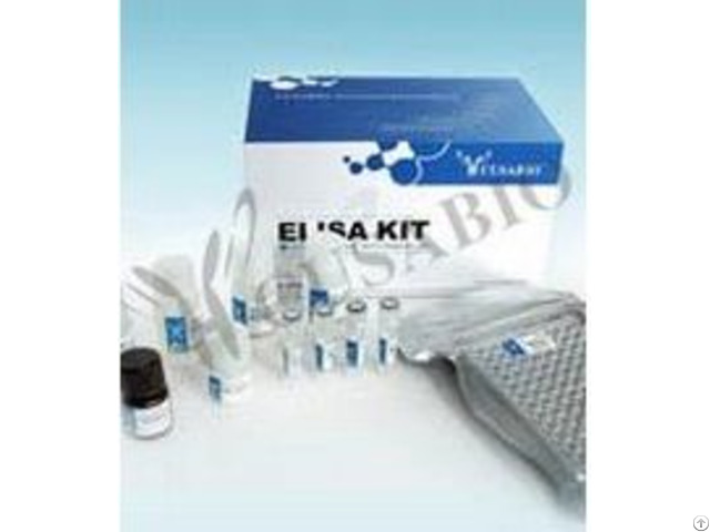 Product Name Rat Protein Kinase B Pkb Akt Elisa Kit