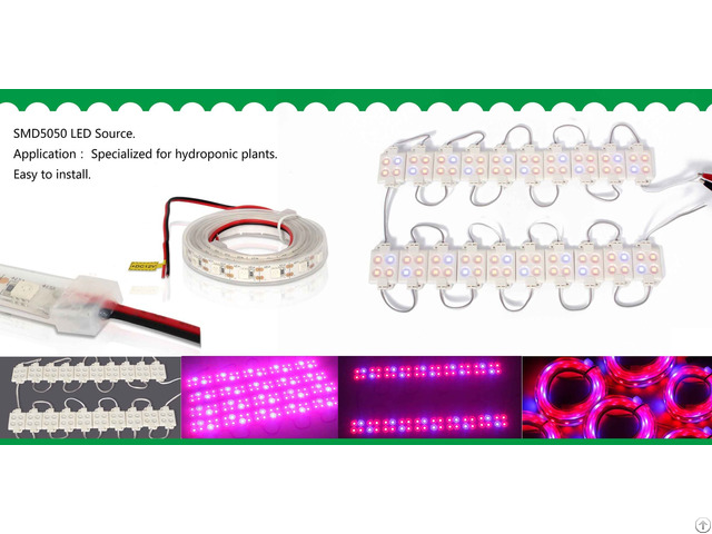 Led Light Grow Waterproof Ip65