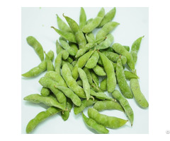 Iqf Edamame Soybean The Best Beautiful Quality And Price