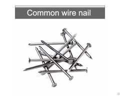 Common Wire Nails