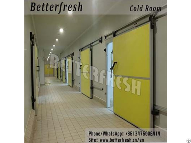Manufacture Betterfresh Refrigeration Cold Room Vegetable Storage For Fresh Products