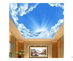 3d Ceiling Sky Nature Theme Wallpaper Mural Customize