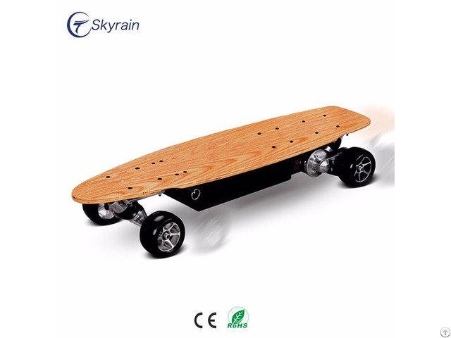 Electric Skateboard