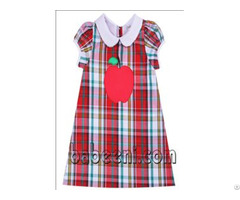 Nice Apple Applique A Line Dress For Girl Bb795