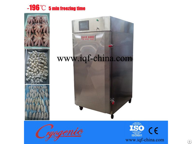 Iqf Cabinet Freezer 200kg Hour