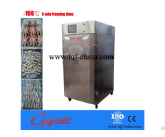 Iqf Cabinet Freezer 200kg Hour