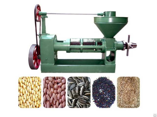 Sunflower Screw Oil Press Machine