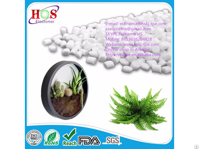 Tpe Material For Artifical Plant Decorative Plants