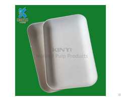 Biodegradable Paper Pulp Tray Phone Packaging Carrier Holder