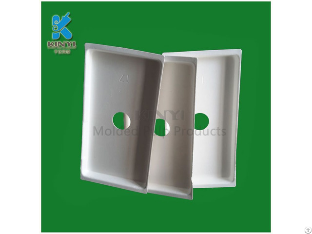 Bagasse Pulp Packaging I Pad Carrier Container