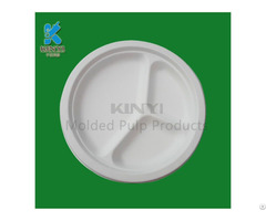 Bagasse Pulp Tray Food Container Dishes Environmental And Biodegradable
