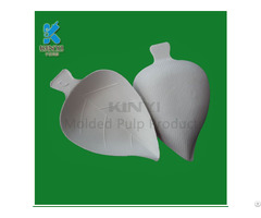 Healthy Food Packaging Leaf Shape Cake Carrier Container Environmental And Biodegradable