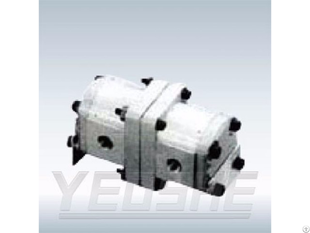 Gear Pump Dfm 302a