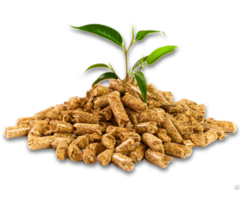 Wood Pellets 6 8mm For Power Plant Biomass Heating System