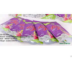 Freeze Dried Dragon Fruit Chips Dry Pitaya From Vietnam Sugar Free High Quality