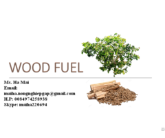 Wood Pellets From Vietnam For Power Plant High Calofiric