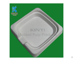 High Quality Bagasse Pulp Tray Electronic Packaging Innserts