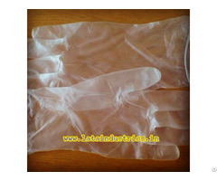 Vinyl Gloves Powder Free