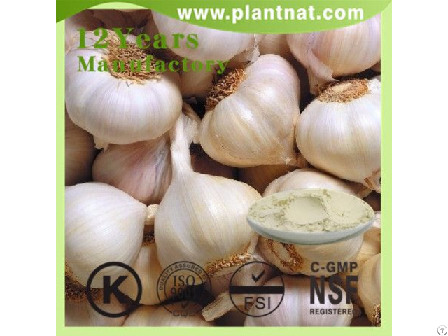 Allicin Powder Garlic Extract Feed Additive