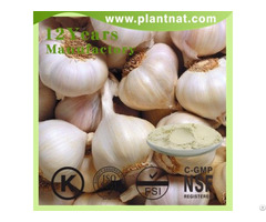 Herbal Garlic Extract