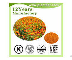 Lutein Marigold Flower Extract Food Color