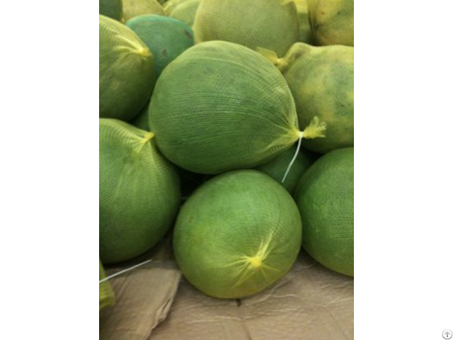 Fresh Pomelo Origin Vietnam