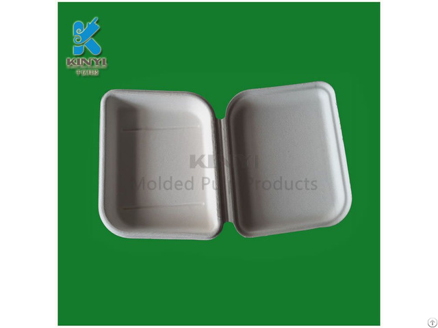 Biodegradable Fiber Molded Pulp Luxury Packaging Boxes