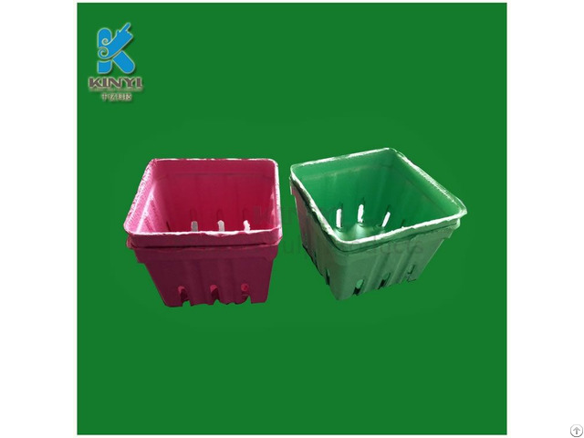 Disposable Paper Pulp Fruit Packaging Box