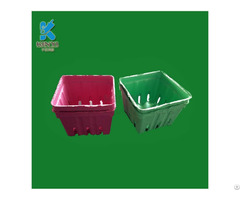 Disposable Paper Pulp Fruit Packaging Box