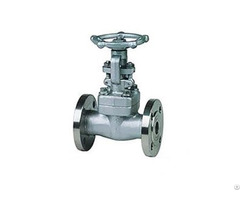 American Standard Small Bore Forged Steel Power Plant Gate Valve