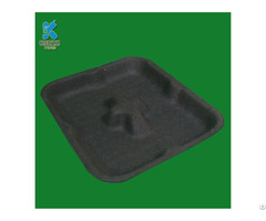 Export Eco Friendly Fruit Packaging Tray Custom