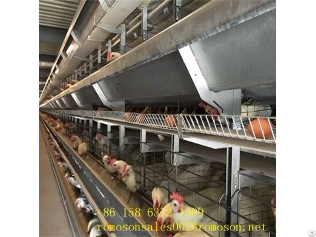 Poultry Cage Manufacturers In Up Shandong Tobetter Is Famous For Its High Quality