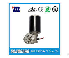 High Torque 24volt Dc Small Worm Gear Motor With Permanent Magnet Construction