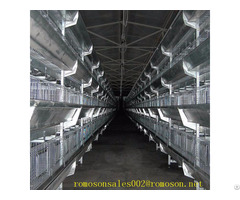 Poultry Farm Design Shandong Tobetter Experience