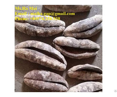 Dried Sea Cucumber Vietnam Black Prickly Sand Fish White Teat High Quality