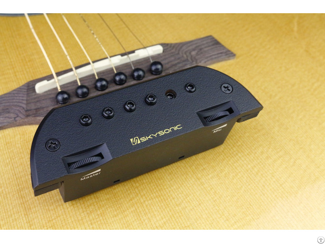 Soundhole Pickup T 903