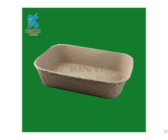 Biodegradable Pulp Molded Seed Trays