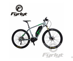 250w 36v Mid Motor Electric Bicycle