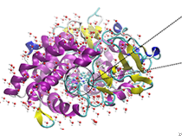 Protein Crystallization And Structural