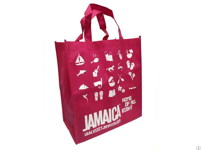 Non Woven Reusable Shopping Grocery Bag