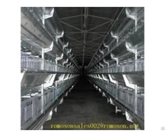 Commercial Poultry Housing Shandong Tobetter Fully Qualified